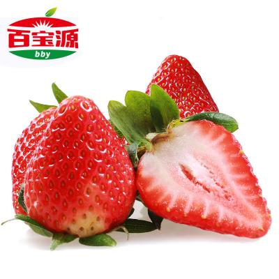 四川雙流草莓新鮮水果禮盒2盒