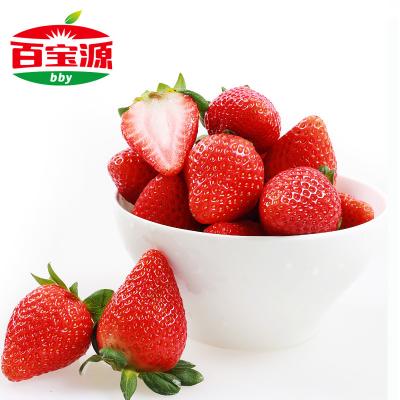四川雙流草莓新鮮水果禮盒2盒