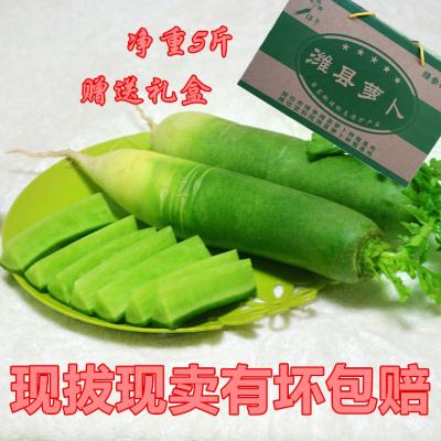 濰坊蘿卜5斤/箱 禮盒