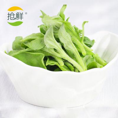 新鮮頭茬非洲冰草冰菜